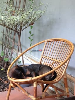 Thumbnail for image 96