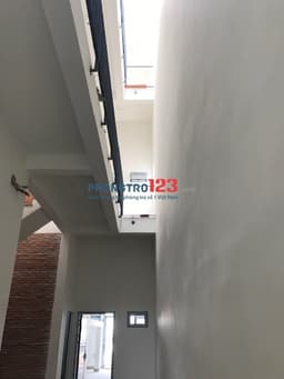 Thumbnail for image 28