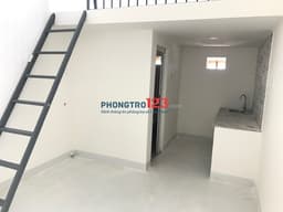 Thumbnail for image 35